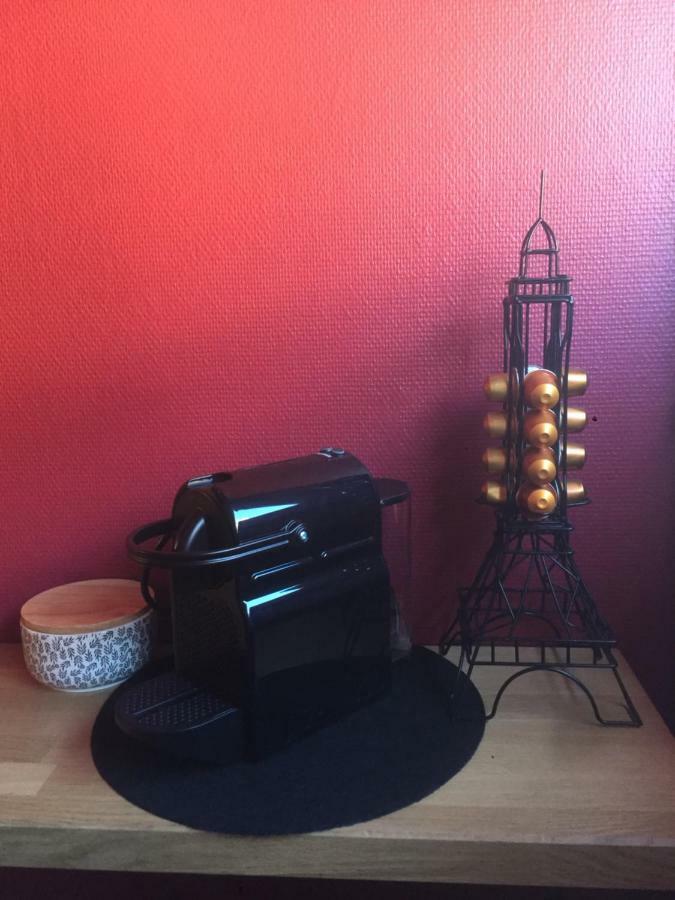 Le Belpierre Apartment Colmar Bagian luar foto