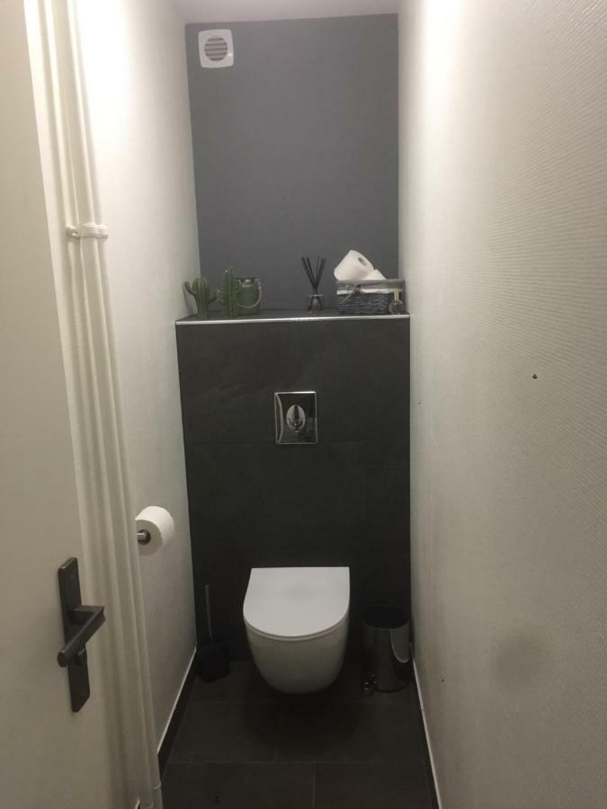 Le Belpierre Apartment Colmar Bagian luar foto